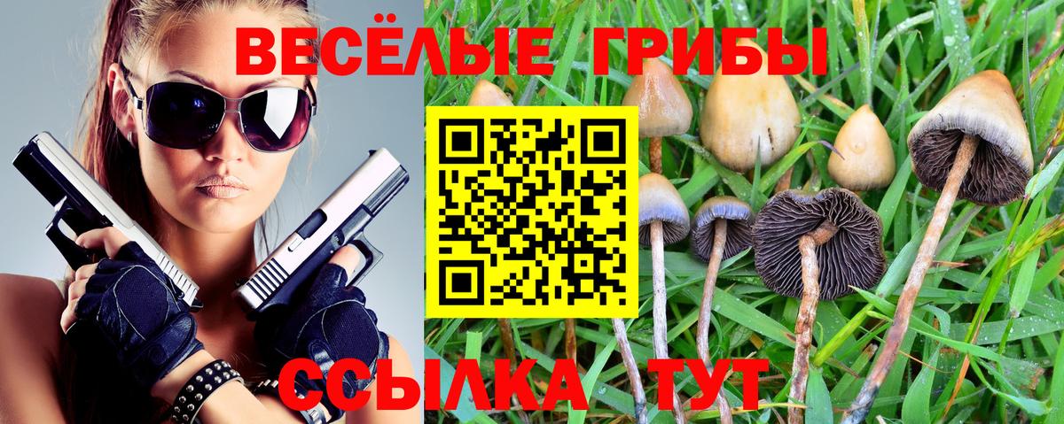 Псилоцибиновые грибы ЛСД  Псилоцибиновые грибы прущие грибы  Новодвинск  Вход с VPN 