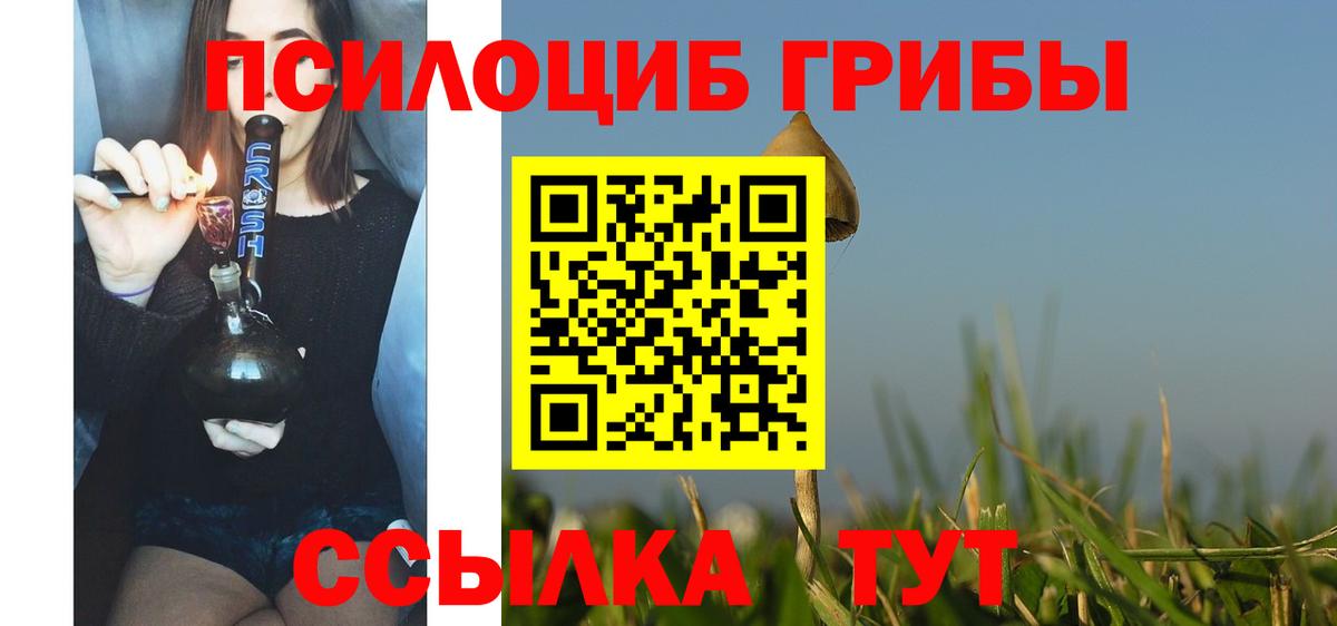 Галлюциногенные грибы Psilocybine cubensis Новодвинск